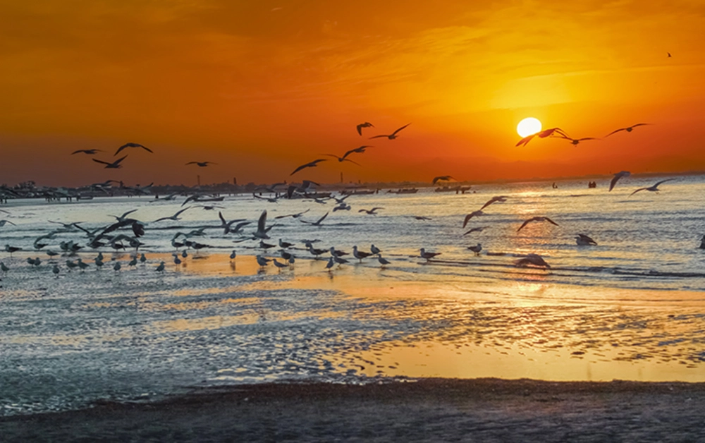 Al Sawadi Beach, Oman