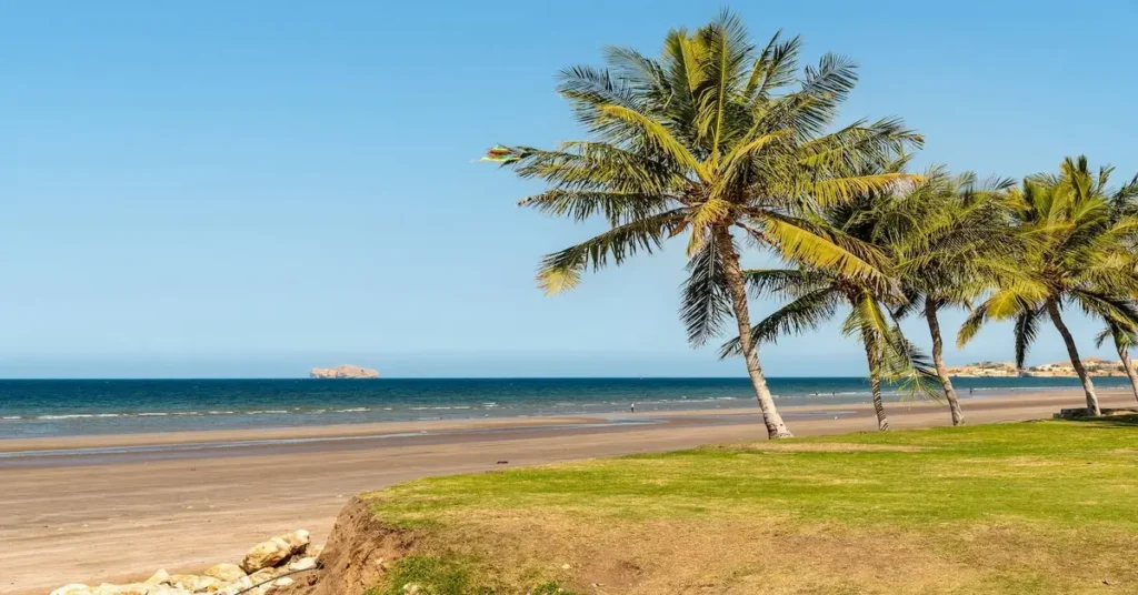 Qurum Beach Oman: A view of palm tree with beach