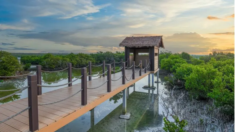 Al Thakira Beach, Qatar