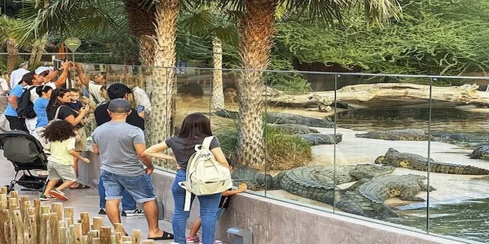 Dubai Crocodile Park