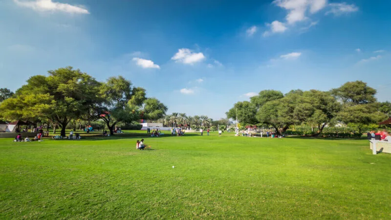 Karama Park Dubai – lush green lawns, walking paths, and playgrounds in Al Karama