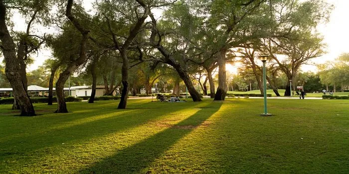 Mankhool Park Dubai green lawns with children playing and walking paths