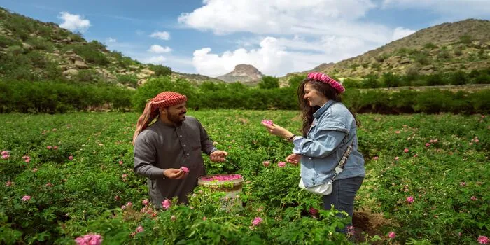 Man and woman picking roses in Taif rose fields with scenic mountains in the background